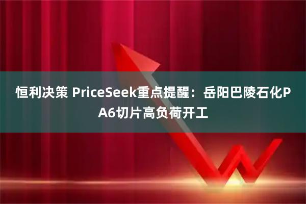 恒利决策 PriceSeek重点提醒：岳阳巴陵石化PA6切片高负荷开工